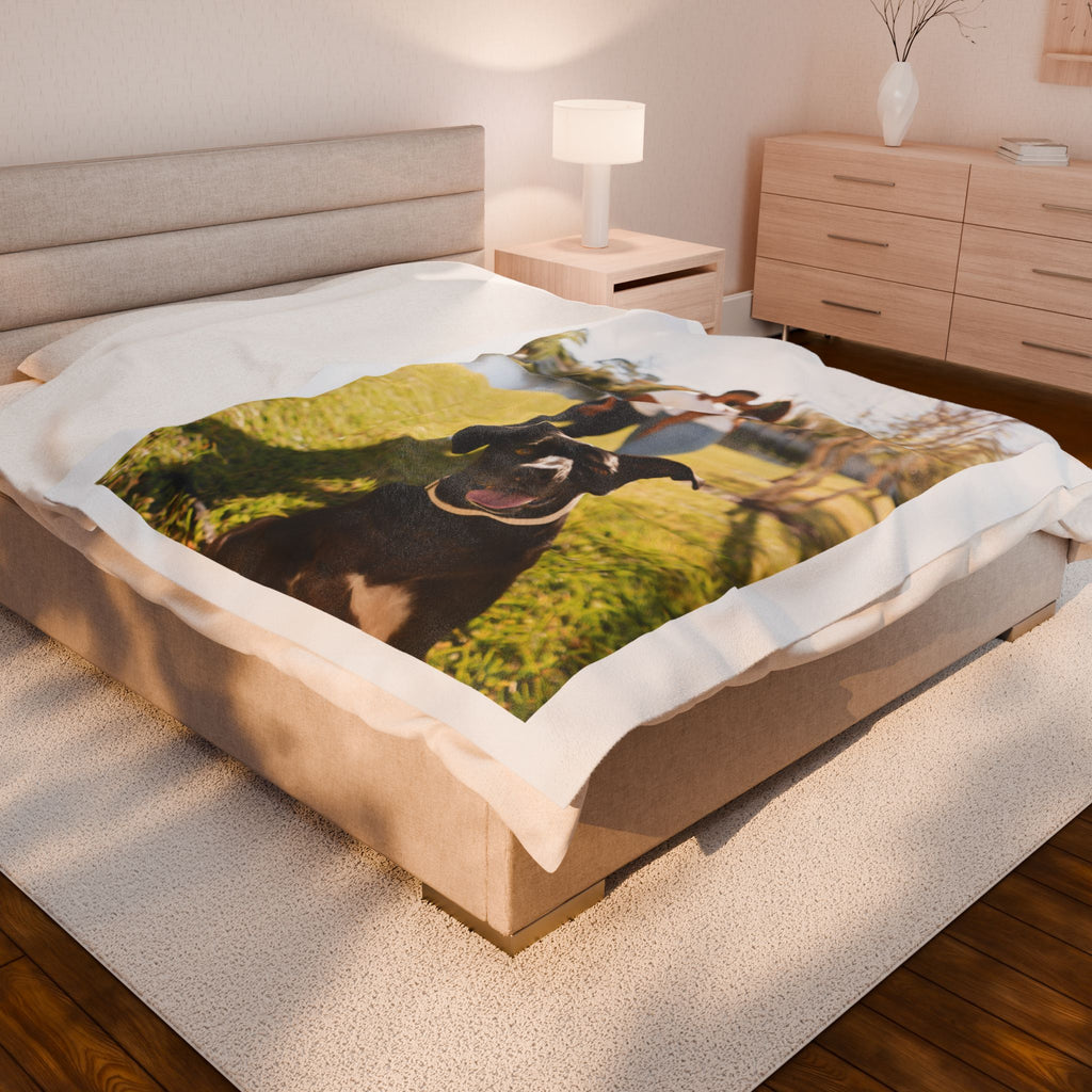 Personalized Plush Blanket